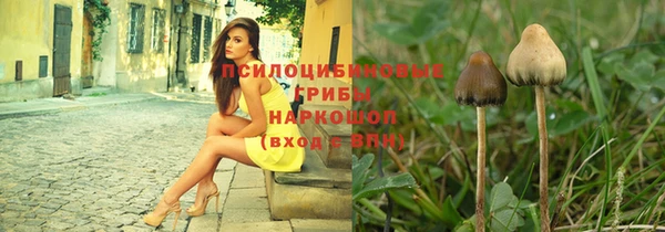 СК Ростов