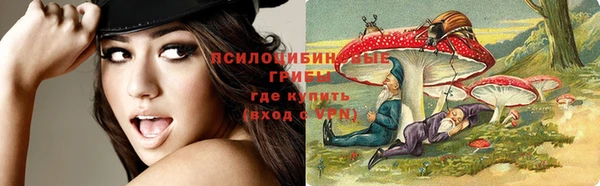бошки Белоозёрский
